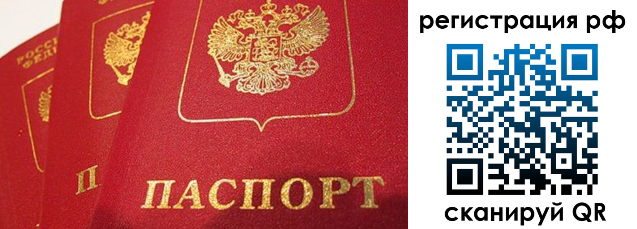 прописка поиск в Петровске